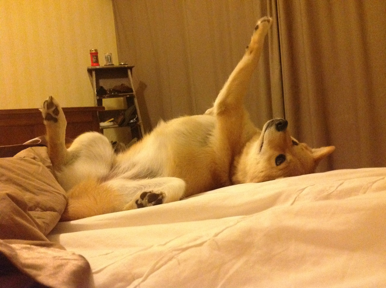 开云官网-2024年第七届成都全球象棋双人赛圆满落幕，32名棋手同台竞技，成都中国象棋比赛