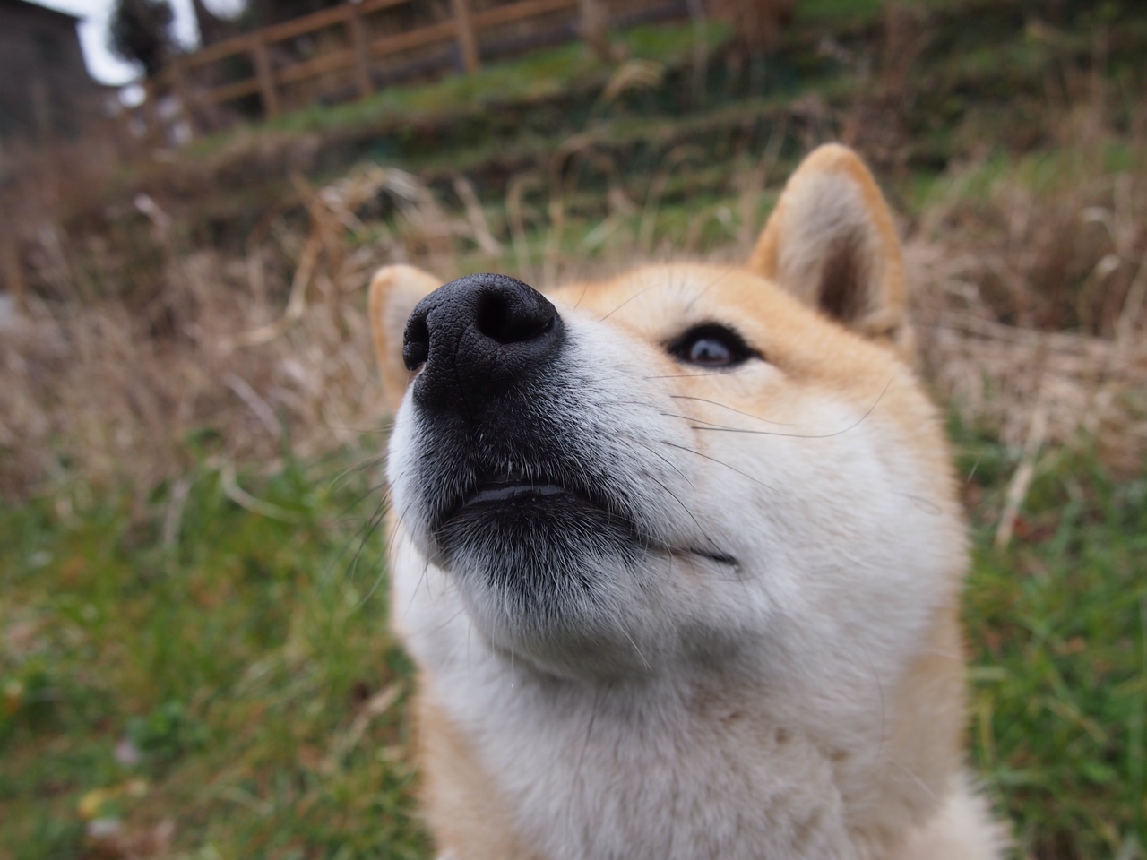 开云网页版-2024季后赛：勇士在关键战中库里投中多记远三，带队逆转夺冠！，nba季后赛勇士