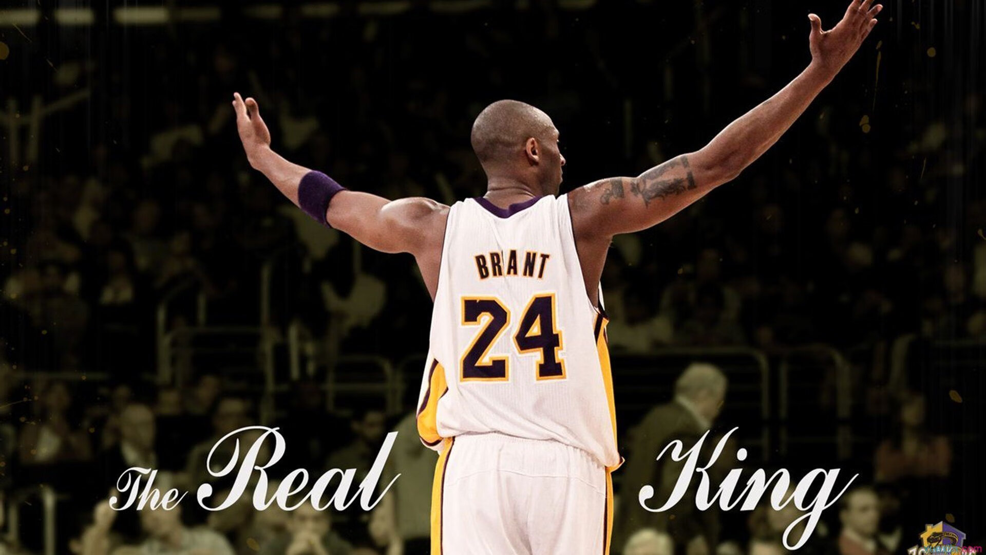 开云真人体育娱乐-鹈鹕内线新星表现稳定获得轮换保障，鹈鹕的新秀